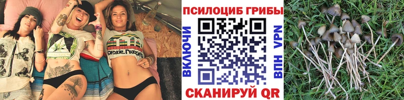 Псилоцибиновые грибы мицелий  наркотики  Козловка 